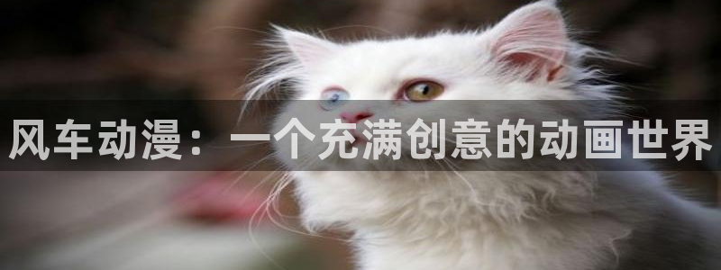 omofun动漫在线观看动漫最新版本更新：风车动漫：一个充满创意的动画世界