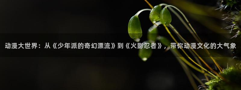 omofun吧：动漫大世界：从《少年派的奇幻漂流》到《火影忍者》，带你动漫文化的大气象