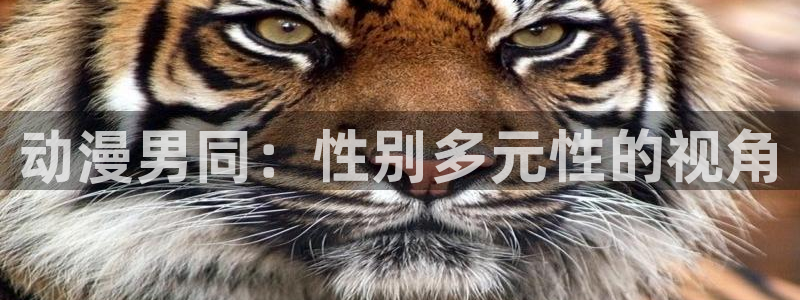omofun老版本下载：动漫男同：性别多元性的视角