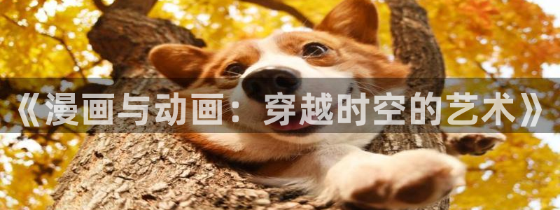 omofun动画网：《漫画与动画：穿越时空的艺术》