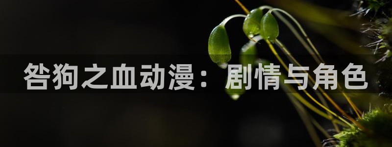 omofun下载的视频在哪：咎狗之血动漫：剧情与角色