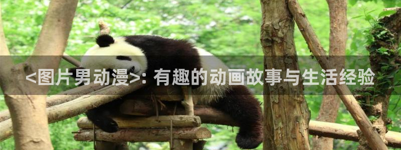 omofun. t：<图片男动漫>: 有趣的动画故事与生活经验
